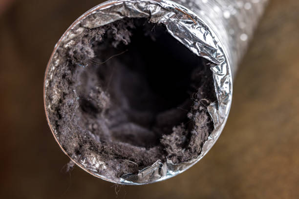 Best Affordable HVAC Duct Cleaning  in Ama, LA