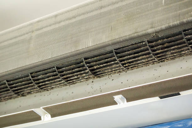 Best Local Air Duct Cleaning Services  in Ama, LA