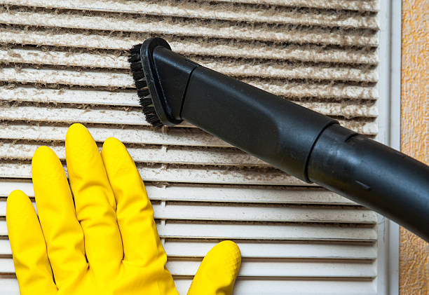 Best Affordable Duct Cleaning Services  in Ama, LA